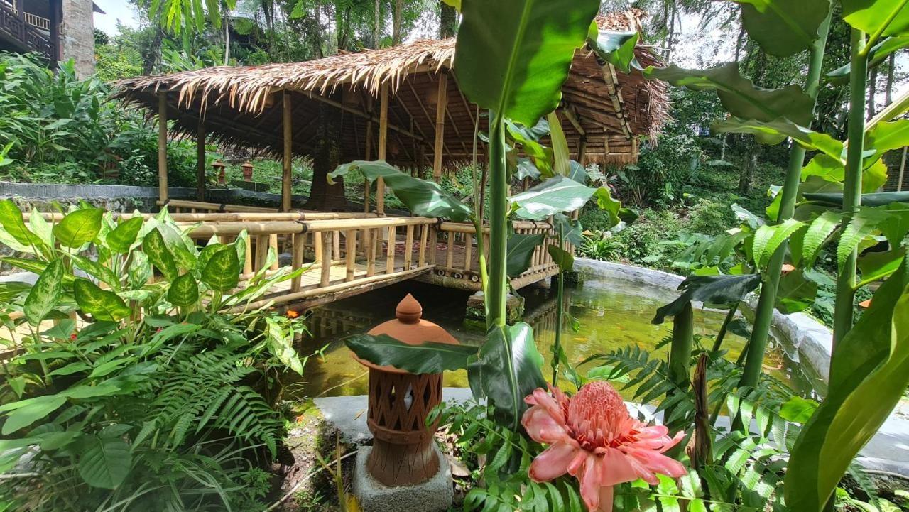 Rimba Eco Resort